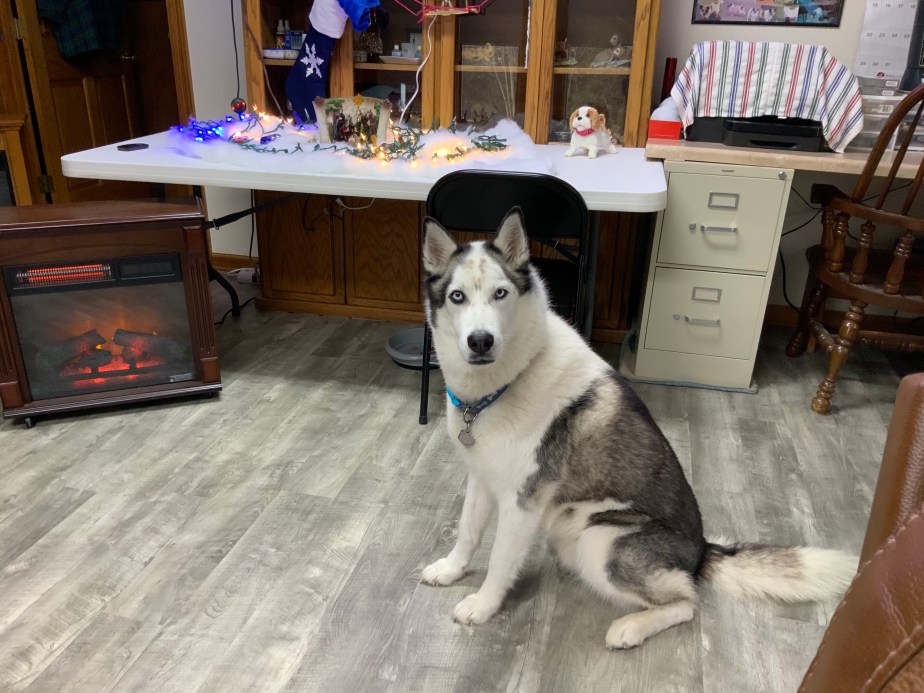 00A0567D-B355-4798-BBAF-FA46660C9961