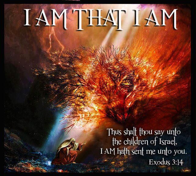 D7EB4C42-C970-4EFE-A1D5-1E9E54E4CEA2