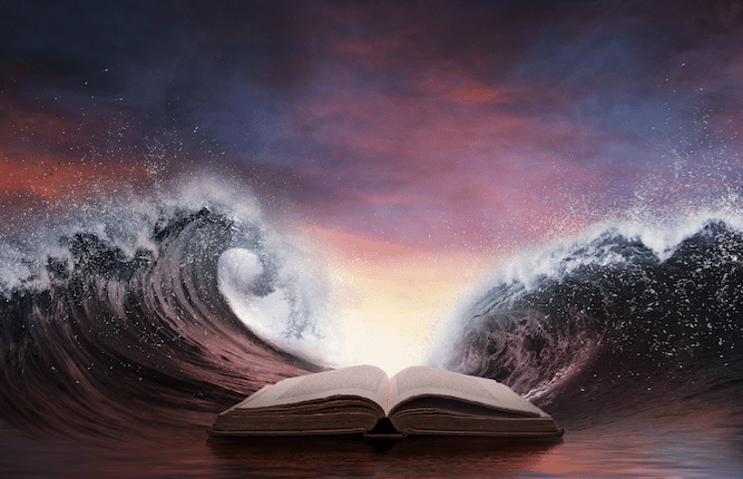 26067BB5-DFD6-428A-A4AA-8D936EA6C48B