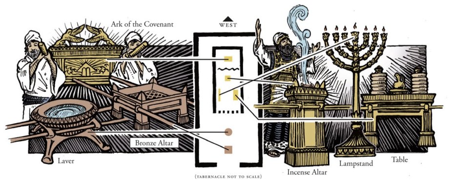 854B608C-146C-4A5C-BC97-8138470D1859