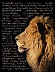 96806A4E-A8B3-4CB9-B399-C29696D29819