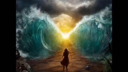 C6FDA39E-FE97-46C2-AFB6-876ED404770B