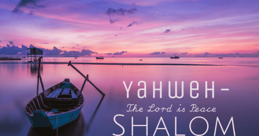 E95F406E-6BD1-44A7-B694-943FAA17AA71