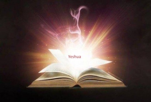 45FE7503-AADE-44B3-ABB0-1C961F2DD067_1_105_c