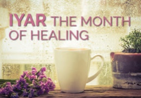 529A931B-CFB3-4562-8D63-564F4D3B1BEF_4_5005_c