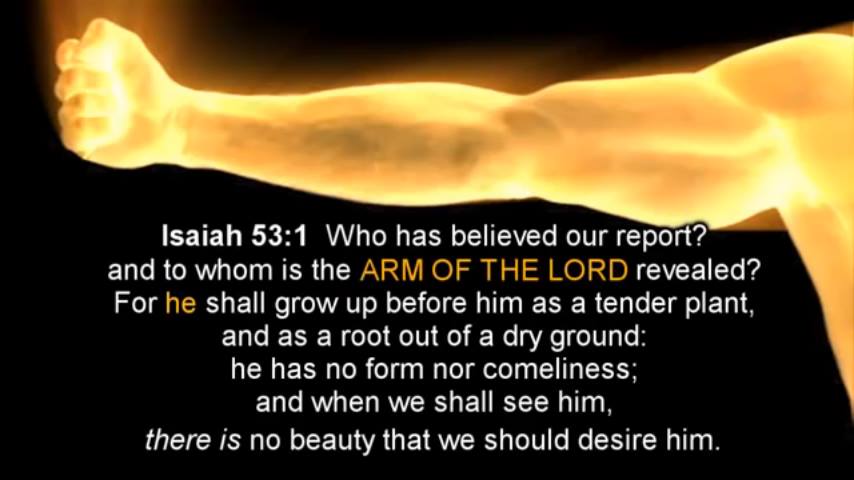 95045EBD-850C-4B87-B2AF-4FD316536723