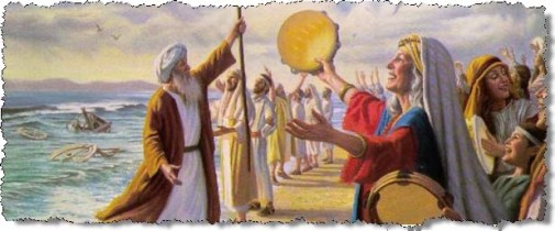 A5B808F1-F219-47EE-9BF4-A7268005A9AA_4_5005_c