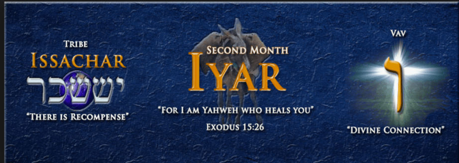 ED4AEC36-6CFB-4E23-9A79-5BF5F08E4070