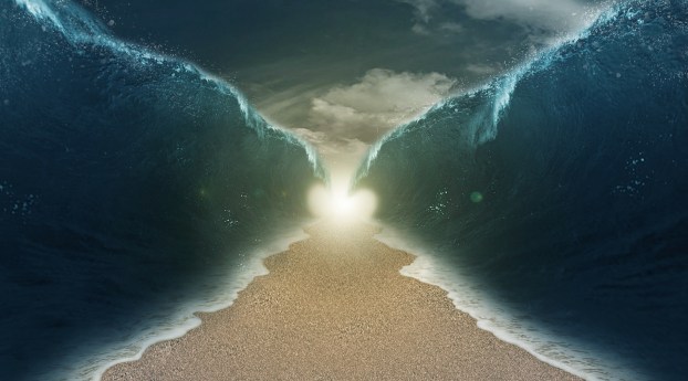 FE066B25-F9FD-4709-9610-C324A3C437EB