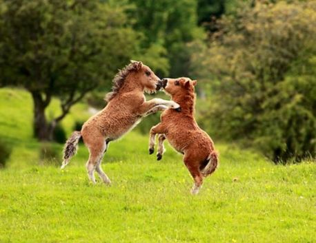 039E98BC-B5C5-4D14-AEB0-F22813256C01