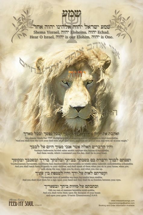 72E4A91A-5D7A-4F23-B0DD-B2F40AEA7253