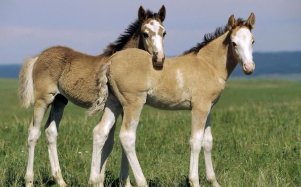 D2D71940-784F-436E-BA86-6E9B5E50B252